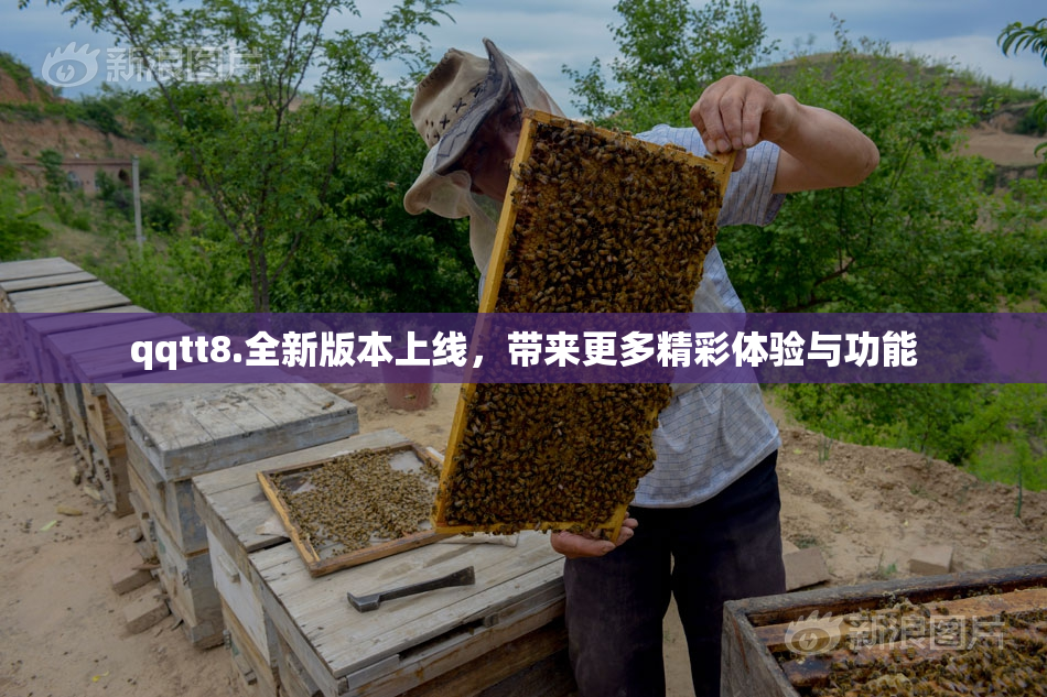 qqtt8.全新版本上线，带来更多精彩体验与功能