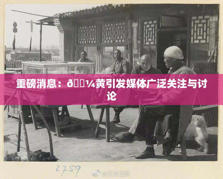 重磅消息：🌼黄引发媒体广泛关注与讨论