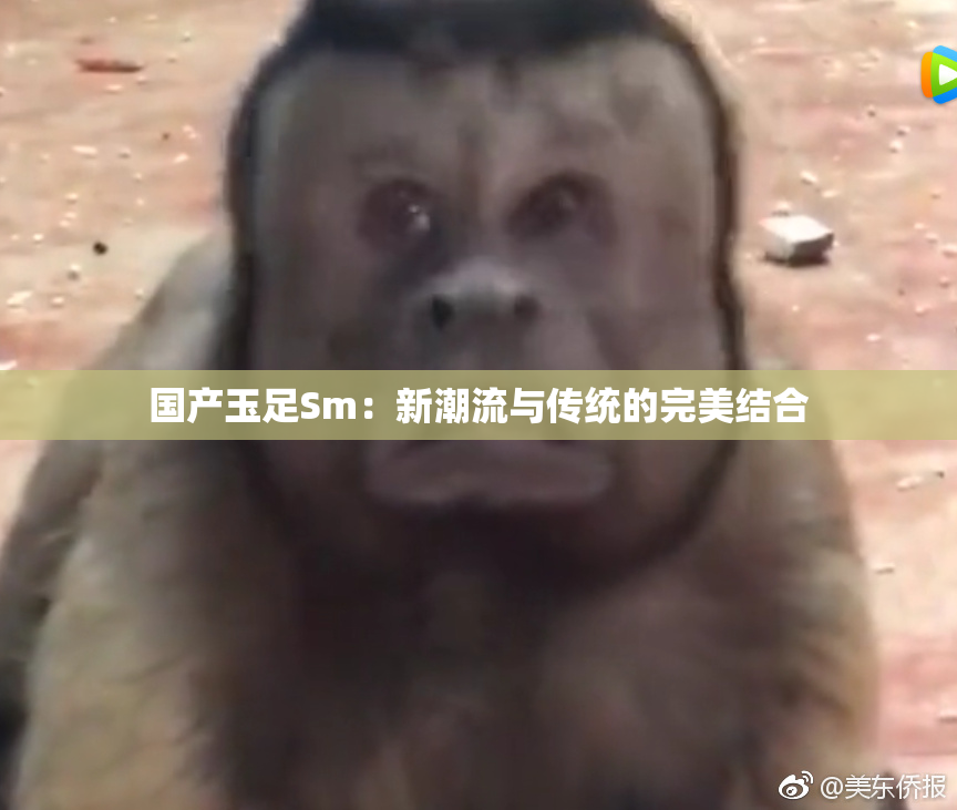 国产玉足Sm：新潮流与传统的完美结合