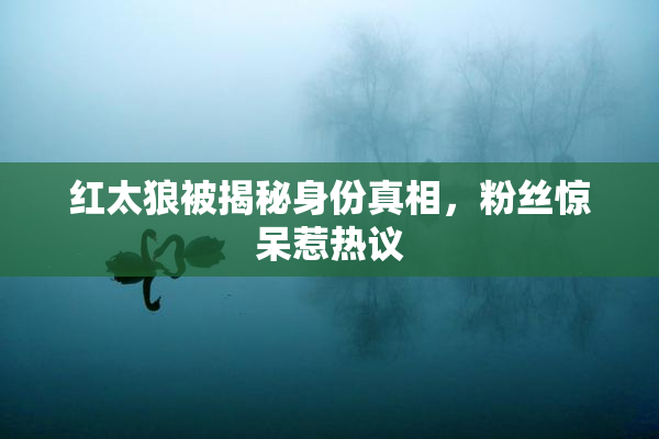 红太狼被揭秘身份真相，粉丝惊呆惹热议