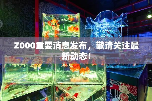 Z000重要消息发布，敬请关注最新动态！