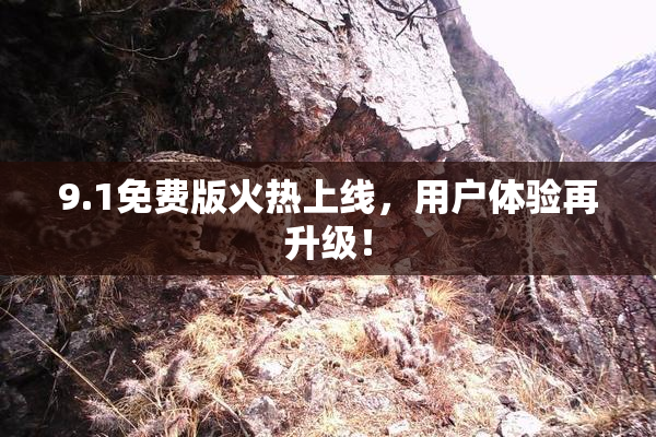 9.1免费版火热上线，用户体验再升级！