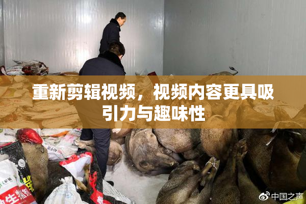 重新剪辑视频，视频内容更具吸引力与趣味性
