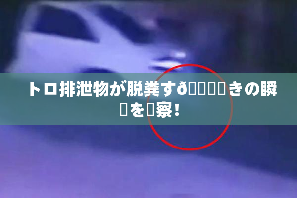 トロ排泄物が脱粪す🌃驚きの瞬間を観察！