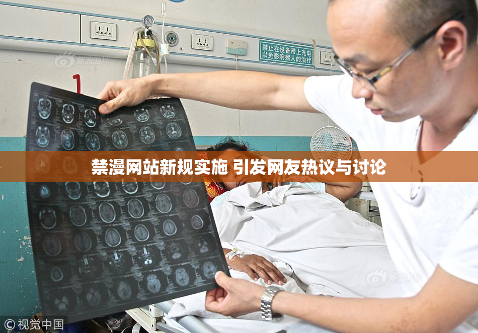 禁漫网站新规实施 引发网友热议与讨论