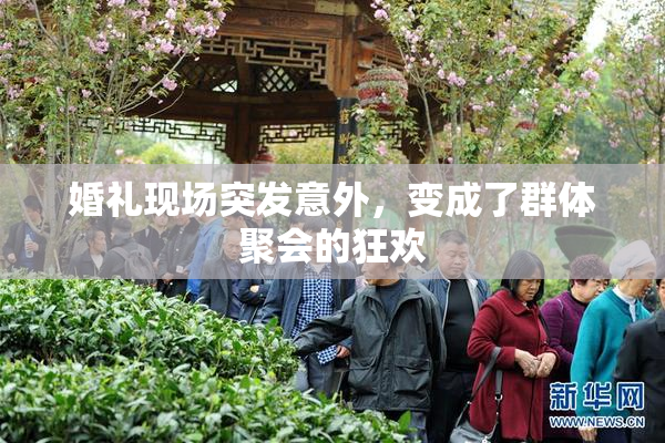 婚礼现场突发意外，变成了群体聚会的狂欢