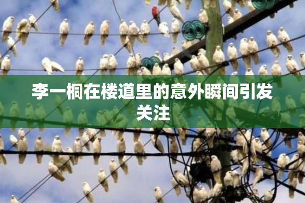 李一桐在楼道里的意外瞬间引发关注