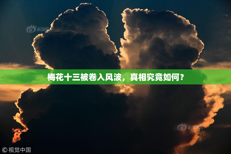 梅花十三被卷入风波，真相究竟如何？