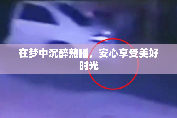 在梦中沉醉熟睡，安心享受美好时光