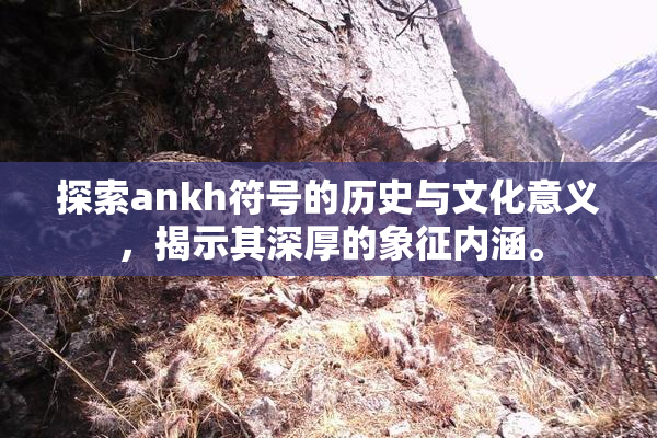探索ankh符号的历史与文化意义，揭示其深厚的象征内涵。