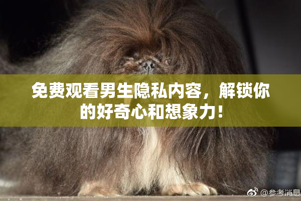 免费观看男生隐私内容，解锁你的好奇心和想象力！