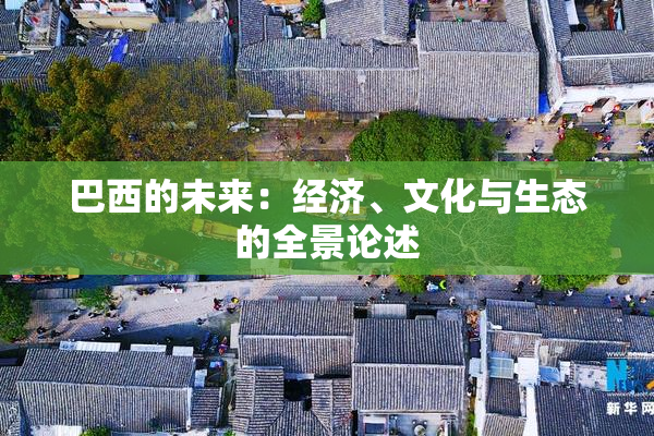 巴西的未来：经济、文化与生态的全景论述