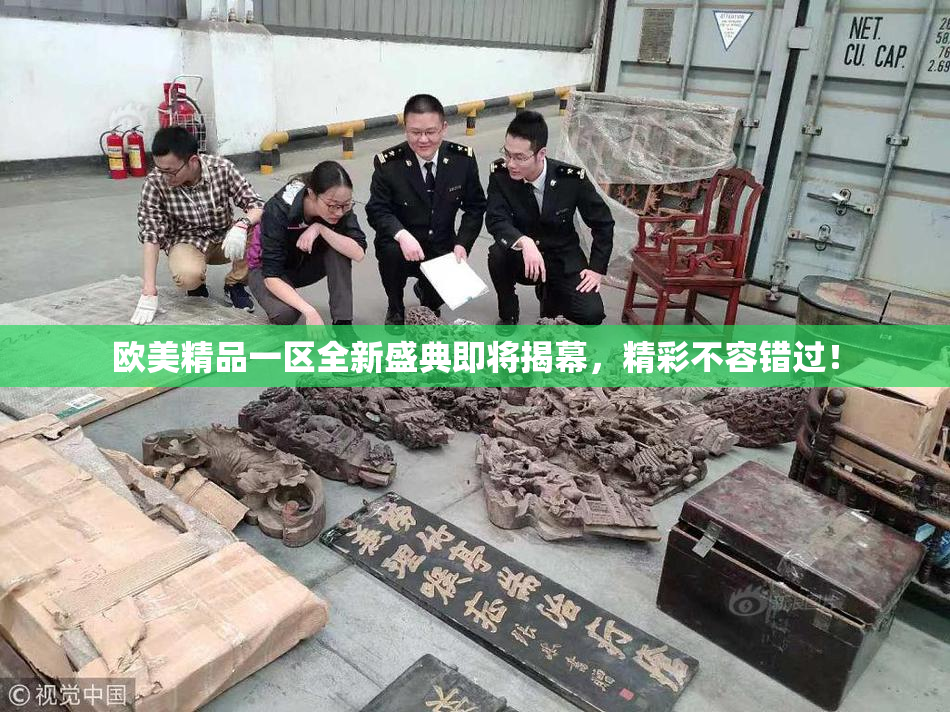 欧美精品一区全新盛典即将揭幕，精彩不容错过！