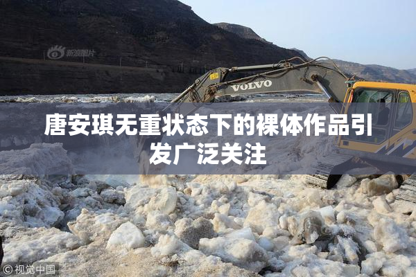 唐安琪无重状态下的裸体作品引发广泛关注