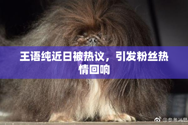 王语纯近日被热议，引发粉丝热情回响