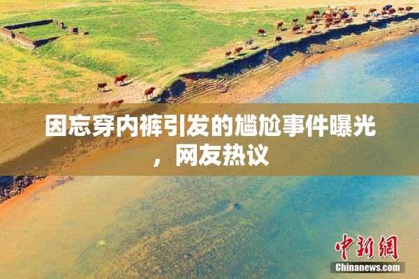 因忘穿内裤引发的尴尬事件曝光，网友热议