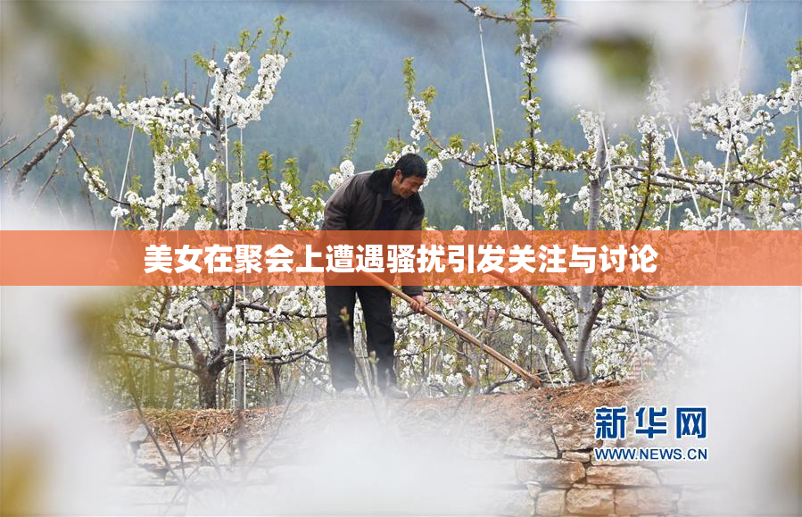美女在聚会上遭遇骚扰引发关注与讨论