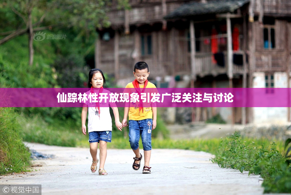 仙踪林性开放现象引发广泛关注与讨论