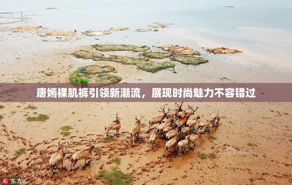 唐嫣裸肌裤引领新潮流，展现时尚魅力不容错过