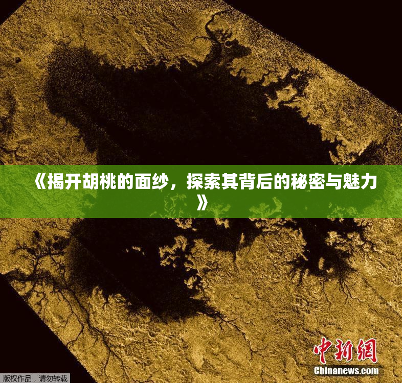 《揭开胡桃的面纱，探索其背后的秘密与魅力》