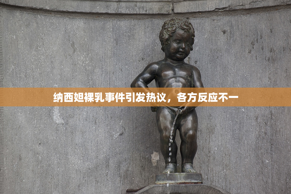 纳西妲裸乳事件引发热议，各方反应不一