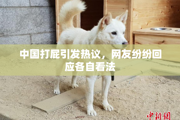 中国打屁引发热议，网友纷纷回应各自看法