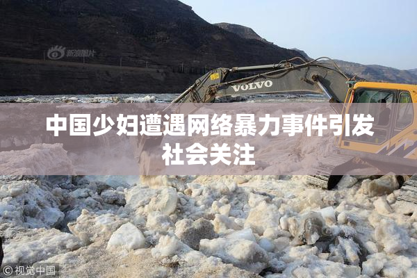 中国少妇遭遇网络暴力事件引发社会关注
