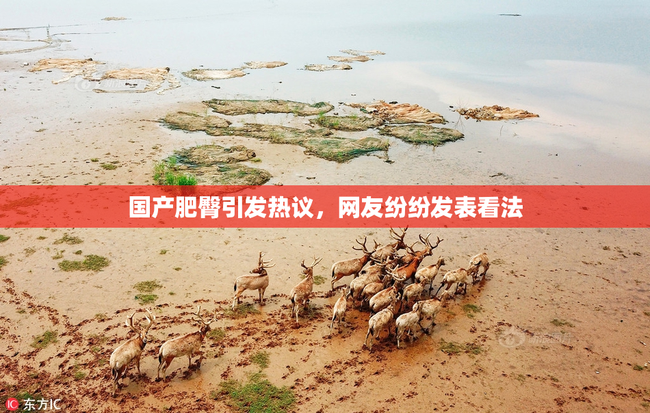 国产肥臀引发热议，网友纷纷发表看法