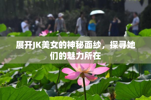 展开JK美女的神秘面纱，探寻她们的魅力所在