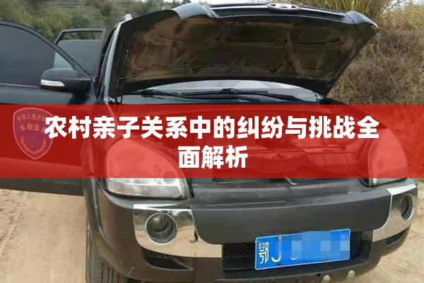 农村亲子关系中的纠纷与挑战全面解析
