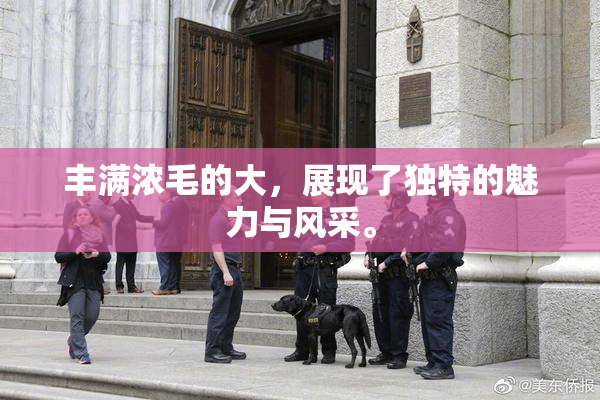 丰满浓毛的大，展现了独特的魅力与风采。