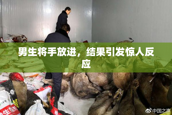 男生将手放进，结果引发惊人反应