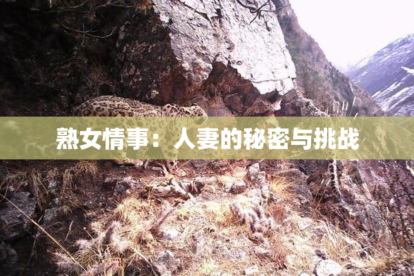 熟女情事：人妻的秘密与挑战