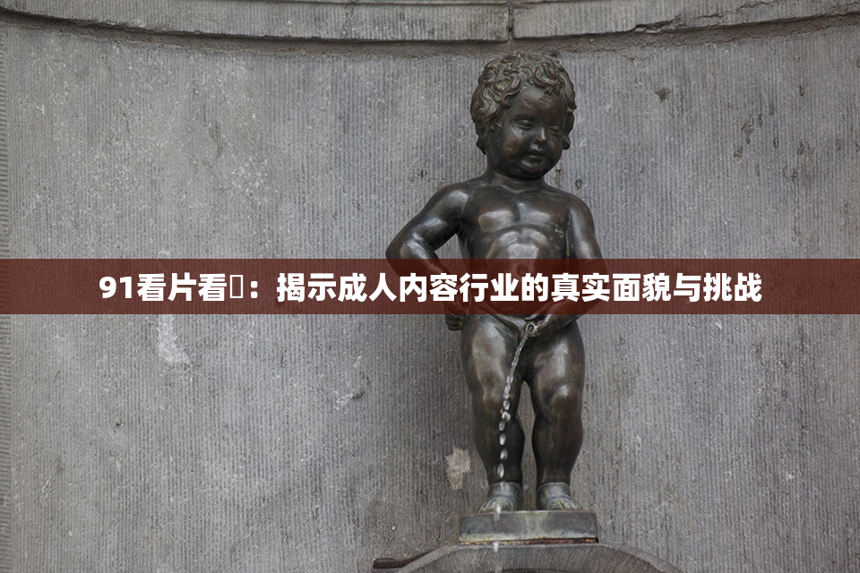 91看片看婬：揭示成人内容行业的真实面貌与挑战