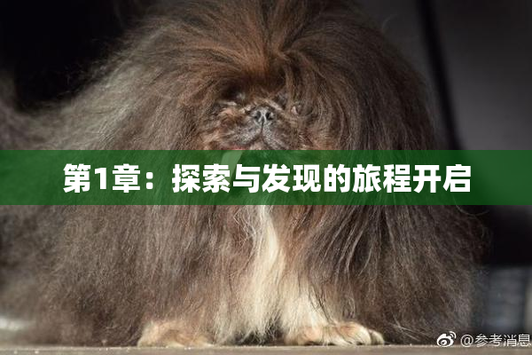 第1章：探索与发现的旅程开启