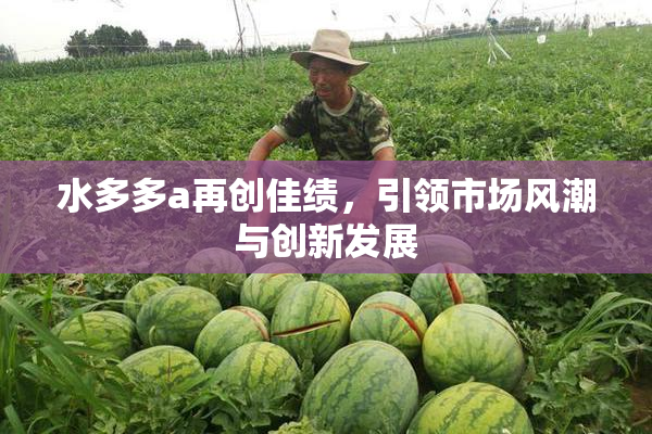 水多多a再创佳绩，引领市场风潮与创新发展