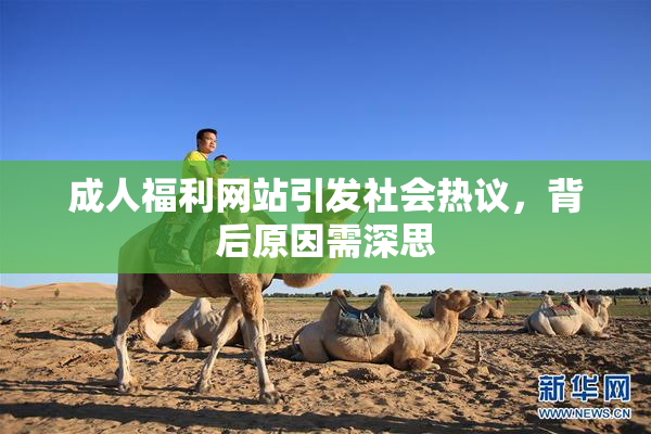 成人福利网站引发社会热议，背后原因需深思