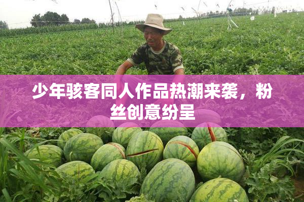 少年骇客同人作品热潮来袭，粉丝创意纷呈