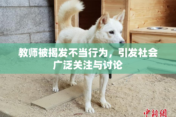 教师被揭发不当行为，引发社会广泛关注与讨论
