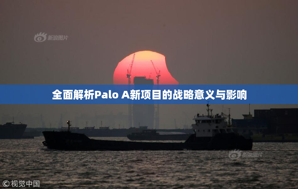 全面解析Palo A新项目的战略意义与影响