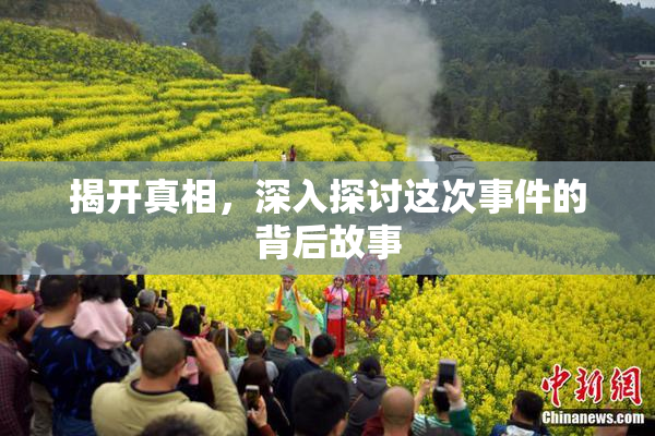 揭开真相，深入探讨这次事件的背后故事