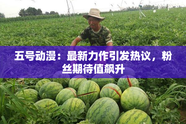 五号动漫：最新力作引发热议，粉丝期待值飙升