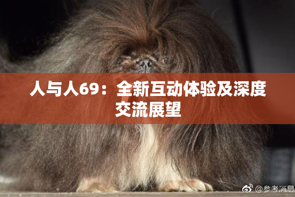 人与人69：全新互动体验及深度交流展望