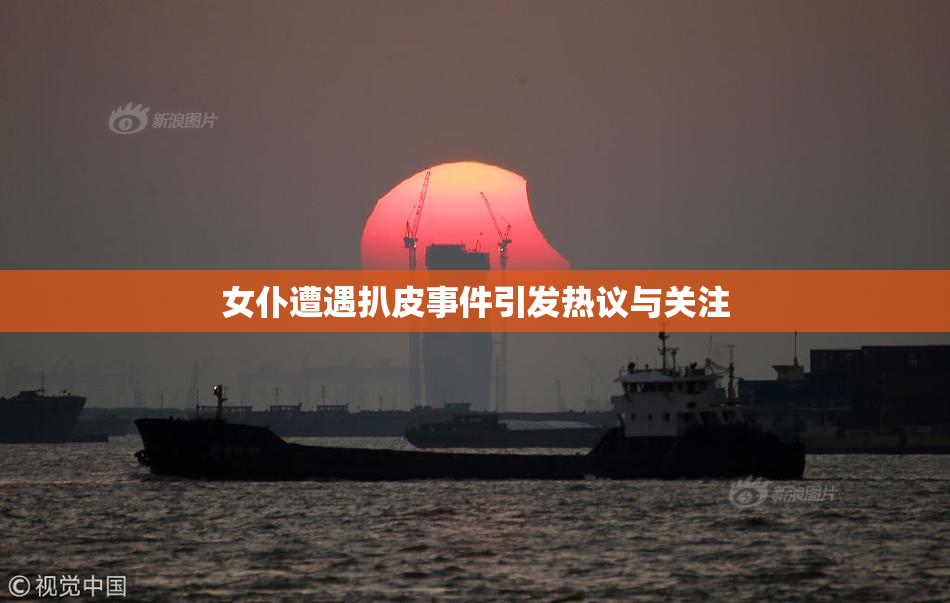 女仆遭遇扒皮事件引发热议与关注