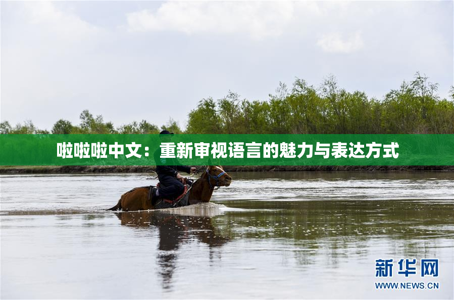 啦啦啦中文：重新审视语言的魅力与表达方式