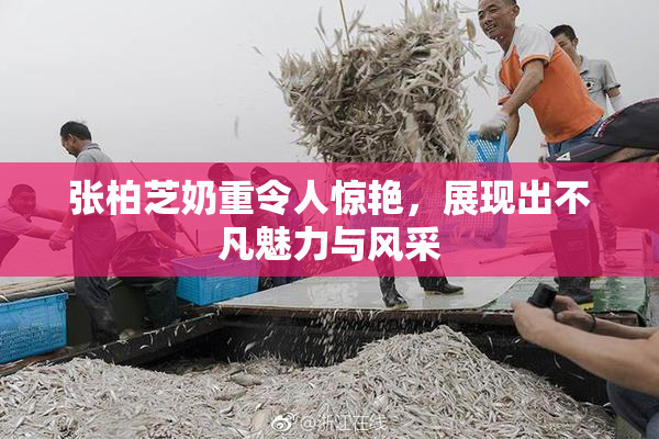 张柏芝奶重令人惊艳，展现出不凡魅力与风采