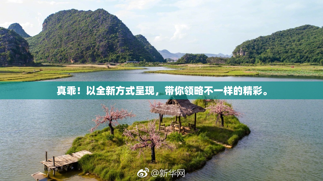 真乖！以全新方式呈现，带你领略不一样的精彩。