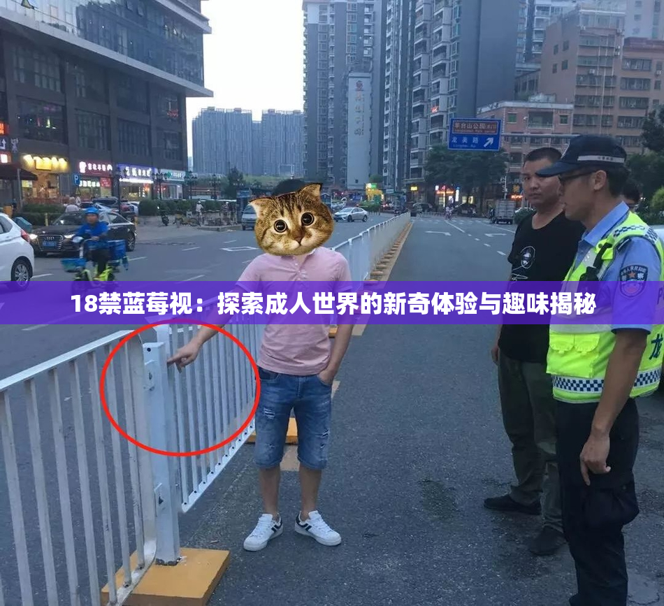 18禁蓝莓视：探索成人世界的新奇体验与趣味揭秘