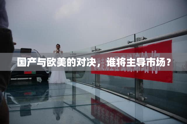 国产与欧美的对决，谁将主导市场？