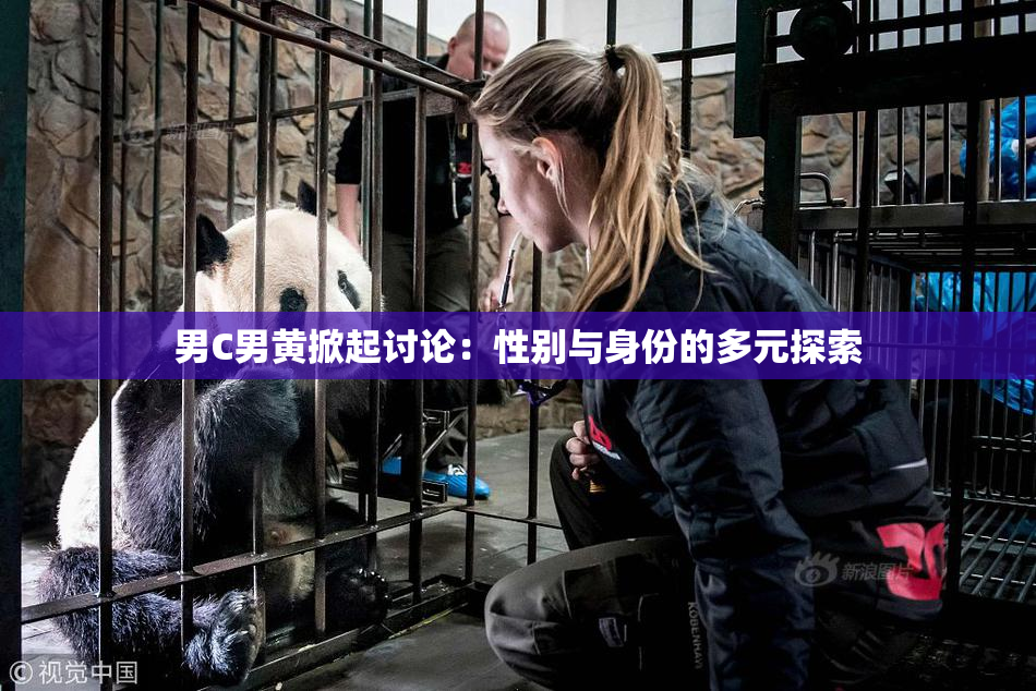 男C男黄掀起讨论：性别与身份的多元探索
